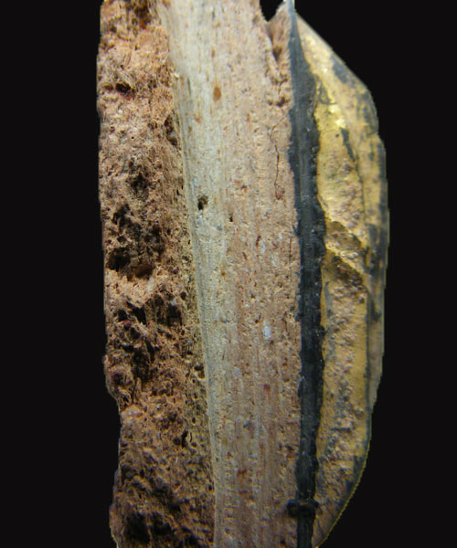 พระเจ้าสิบชาติ กรุวัดกระชาย อยุธยา ปางสมาธิ ตัดเดี่ยว ขออนุญาตใช้ข้อมูล ภาพ เจ้าของเดิมครับ