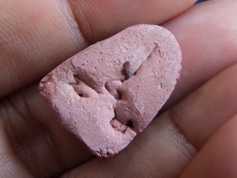 พระกลีบบัว กรุวัดเจ้ามูล ธนบุรี สภาพสวย ด้านหลังจารยันต์ มะอะอุ(ล.ป.ศุข ปลุกเสก)