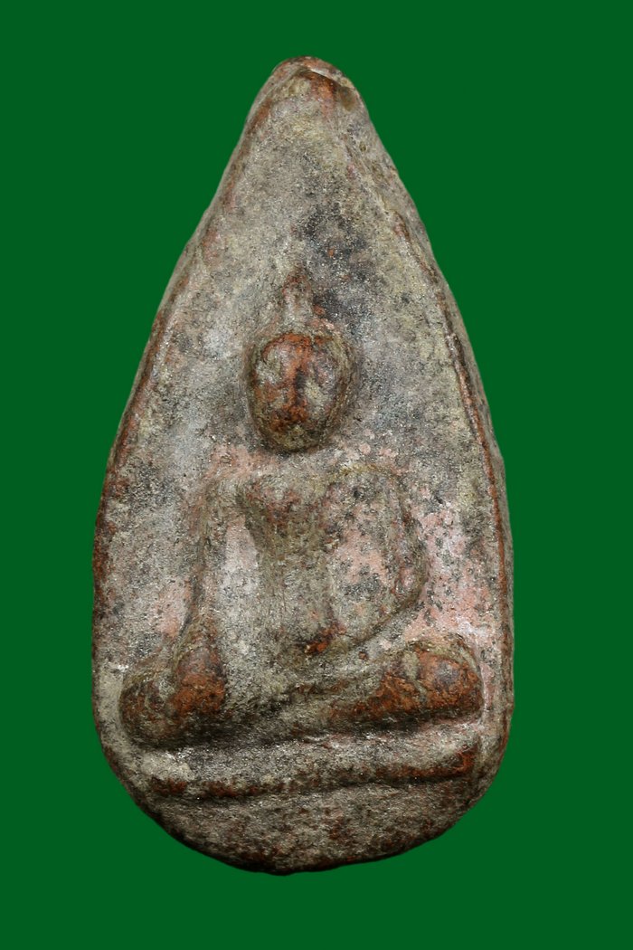 กลีบบัวกำแพง