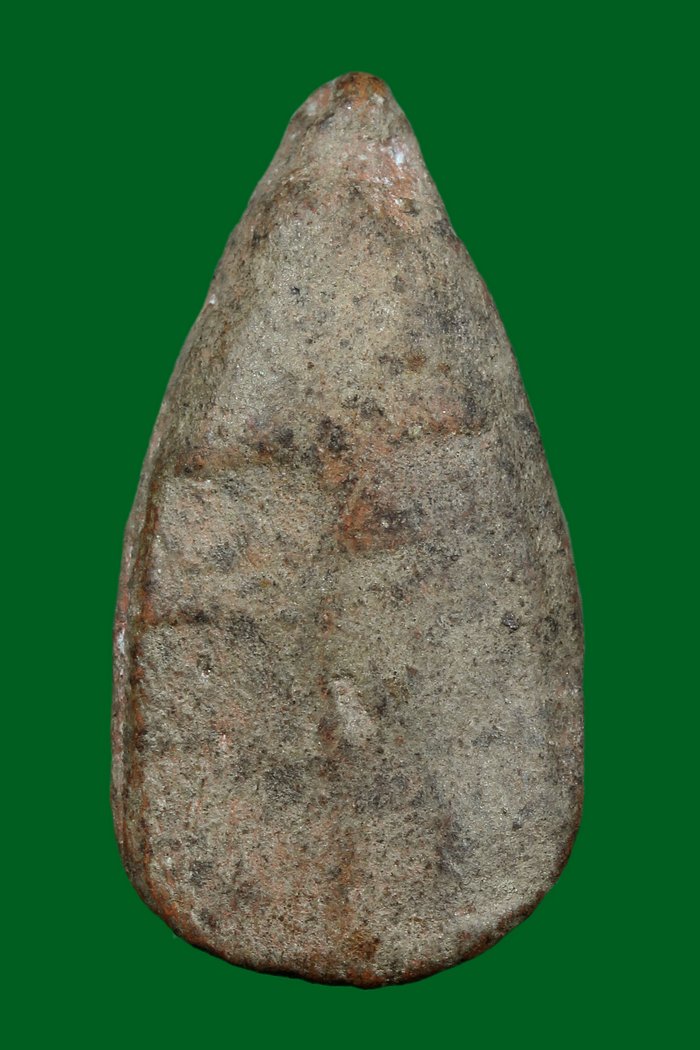 กลีบบัวกำแพง