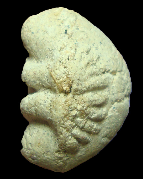 พระปิดตาพิมพ์มือโบราณ หลวงปู่หมุน วัดบ้านจาน เสาร์ 5 บูชาครู 2543