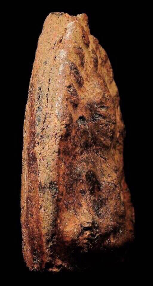 พระขุนแผนพลายคู่ตัดเดี่ยว กรุบ้านกร่าง สุพรรณบุรี พิมพ์เศียรโต เนื้อดิน