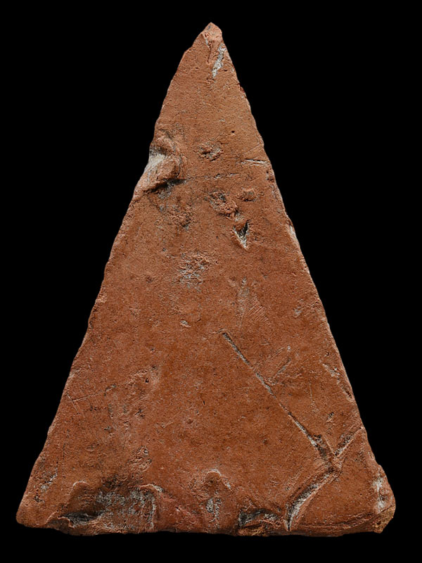 พระนางพญาเนื้อดิน หลวงปู่โต๊ะ วัดประดู่ฉิมพลี 