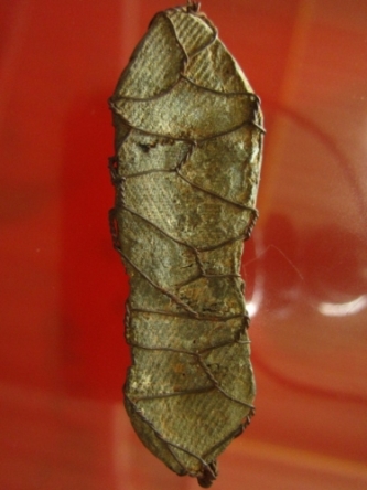 พระนารายณ์สี่กร เนื้อชินตะกั่ว ถักลวดเก่า