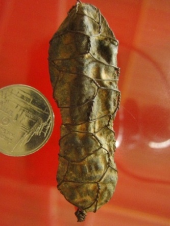 พระนารายณ์สี่กร เนื้อชินตะกั่ว ถักลวดเก่า