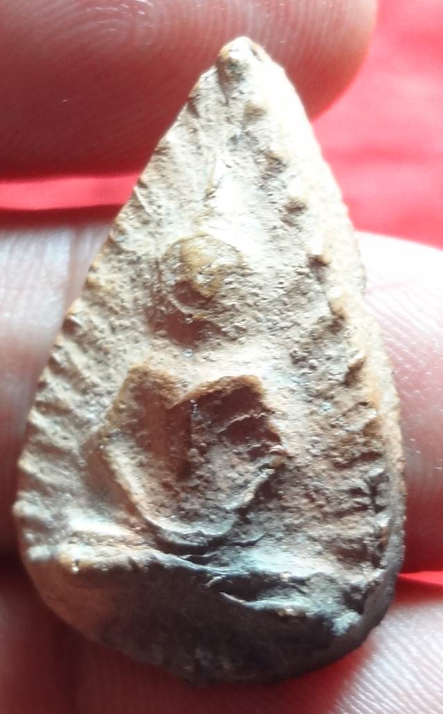  พระกลีบบัว วัดลิงขบ 