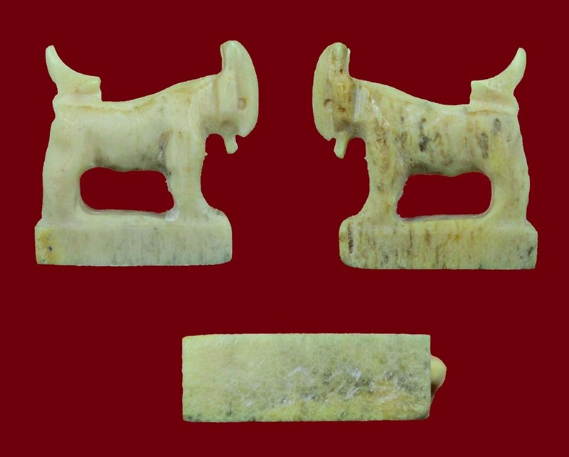 แพะมหาลาภ(เขากวางแกะ) หลวงพ่อสิน ละหารใหญ่ ปี 58