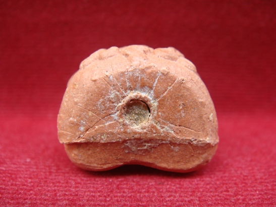 ปิดตาชมพูนุช หลวงปู่หมุน  เคาะเดียว