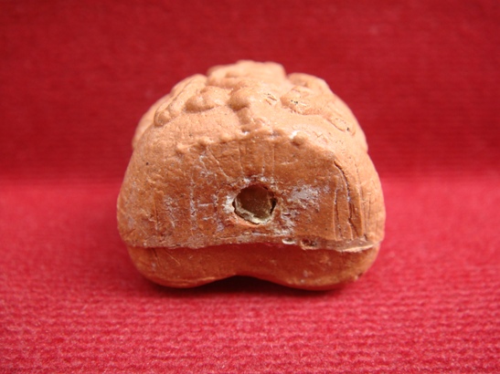 ปิดตาชมพูนุช หลวงปู่หมุน เคาะเดียว