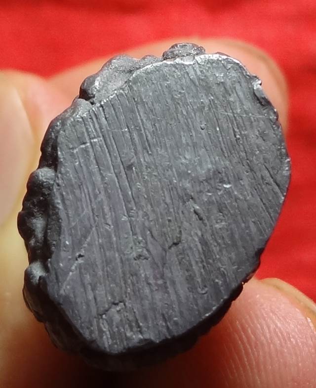  พระมหาปุณณะเถร กลวงพ่อตัด วัดชายนา สวยมีโค็ด