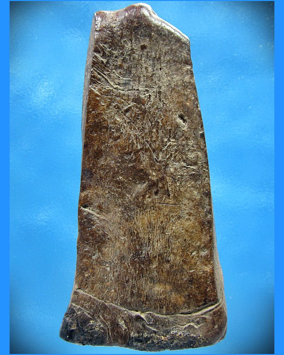 พระว่านจำปาสัก