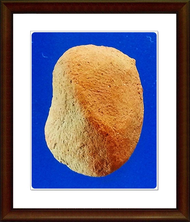 พระเม็ดบัว เจ้าคุณโพธิ์ วัดชัยพฤกษ์มาลา(89)