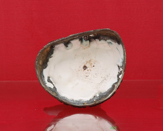 พระบูชาพระสังฆจายน์มหาลาภ วัดทุ่งเศรษฐี จ.กรุงเทพ