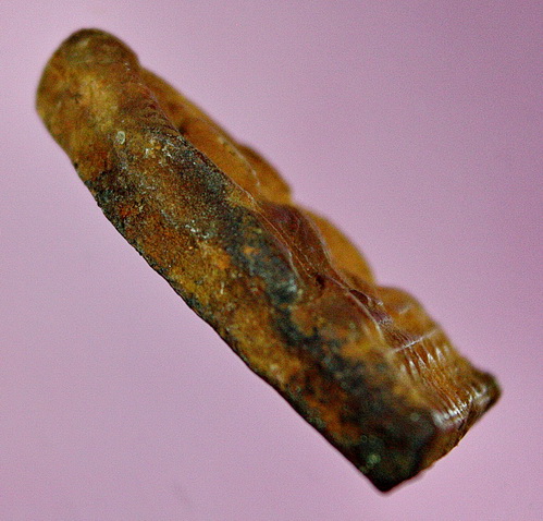 พระพุทธชินราช กรุวัดเสาธงทอง เนื้อดิน สุพรรณบุรี...สภาพสวยแชมป์ครับ