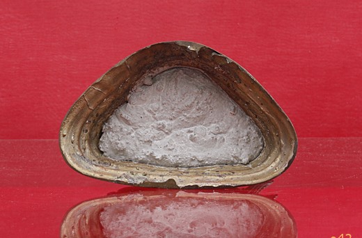 พระบูชาปางนาคปรก พระบ้าน