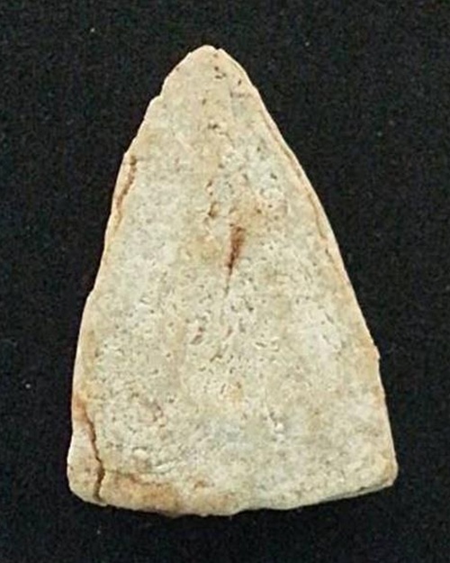 พระเนื้อผง พิมพ์หลวงปู่ทวดกลีบบัว เนื้อผงน้ำมัน หลวงปู่ดู่ วัดสะแก