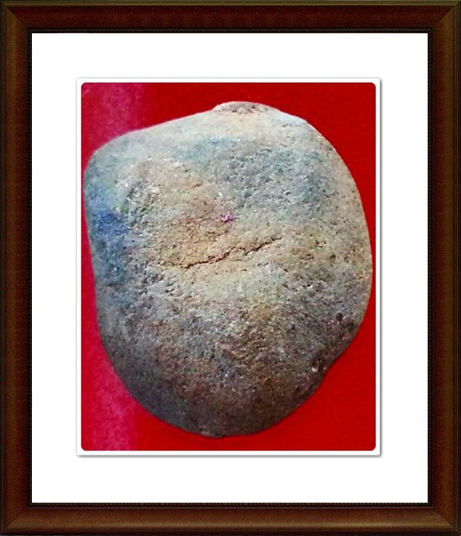 พระเม็ดบัว เจ้าคุณโพธิ์ วัดชัยพฤกษ์มาลา(24)