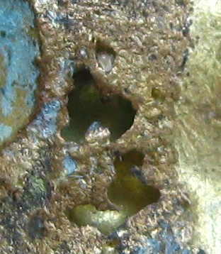 รูปหล่อหลวงพ่อเขียน รุ่นเถ้าแก่หอเตี๊ยะ ปี 2499 เนื้อทองผสม วัดสำนักขุนเณร จ.พิจิตร