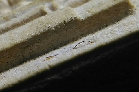 พระคำข้าวรุ่นแรก พิมพ์บัวจุด หลวงพ่อฤาษีลิงดำ สภาพพอสวย มีเกศาเส้นยาวๆ 1 เส้น ด้านหน้าเลยครับ