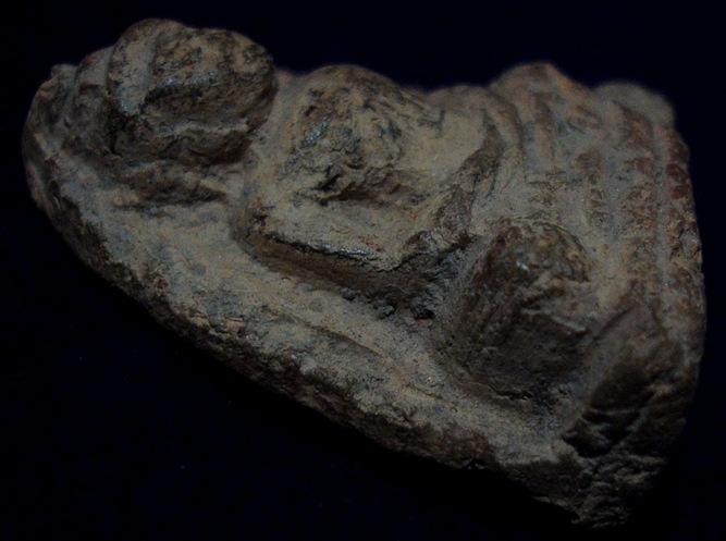 พระหลวงพ่อโต กรุวัดบางกระทิง พิมพ์สมาธิ