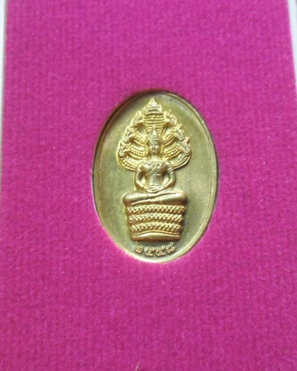 หลวงพ่อรวย วัดตะโก เหรียญนาคปรกรุ่นแรก รวยทันใจ เนื้อทองเหลือง พร้อมกล่อง