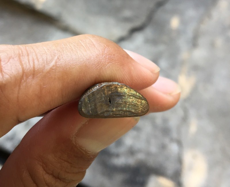 รูปหล่อ อุดกริ่ง หลวงพ่อโต วัดขุนจันทร์ ตลาดพลู สวยๆครับ