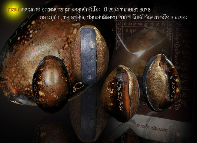 เบี้ยแก้กรรมการ อุดผงพรายกุมารคลุกรักชันโรง ปี 54 หลวงปู่บัว ปลุกเสก .. 2 ..