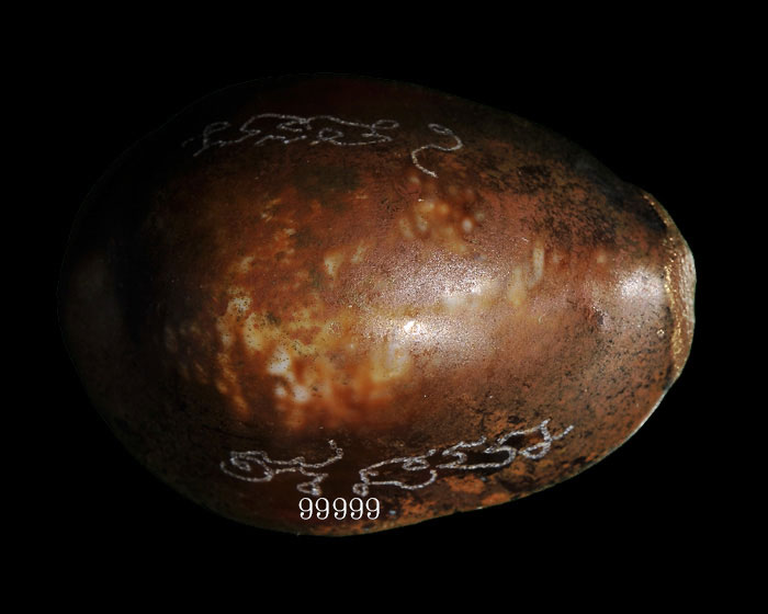 เบี้ยแก้กรรมการ อุดผงพรายกุมารคลุกรักชันโรง ปี 54 หลวงปู่บัว ปลุกเสก .. 1 ..