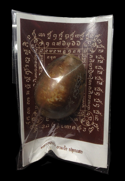 เบี้ยแก้กรรมการ อุดผงพรายกุมารคลุกรักชันโรง ปี 54 หลวงปู่บัว ปลุกเสก .. 1 ..