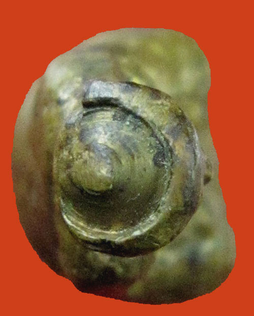 รูปเหมือนไต้ฮงกง รุ่นสอง พิมพ์หัวกลึง เนื้อทองเหลือง ปี 2513 กทม