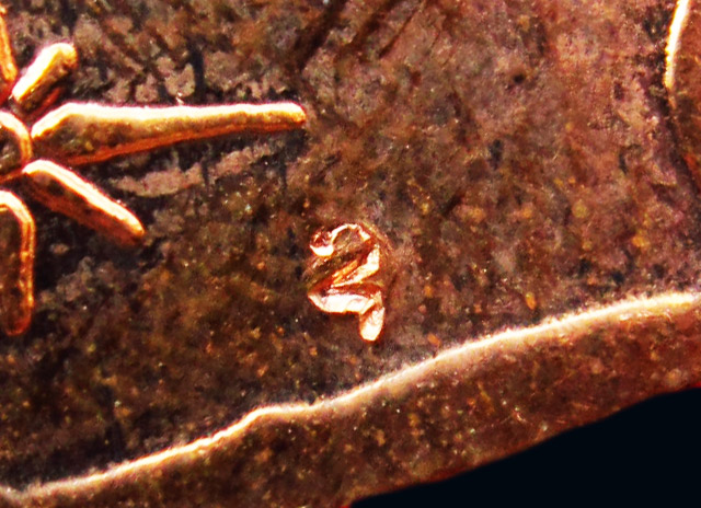 เหรียญนั่งพาน พิมพ์เล็ก หลวงปู่บัว ถามโก วัดศรีบุรพาราม จ.ตราด รุ่นสร้างกุฏิ ปี ๒๕๓๙