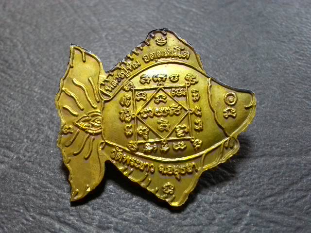 ปลาตะเพียนเนื้อทองเหลือง ลป.ทิม วัดพระขาวปี41