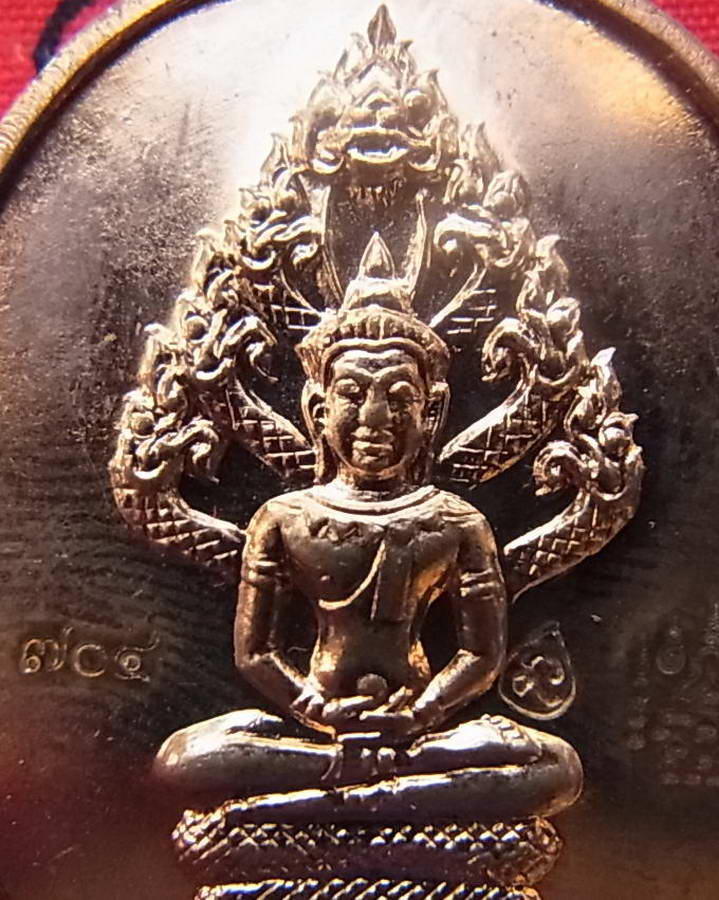 เหรียญพระนาคปรก ไตรมาส ๕๑ หลวงพ่อสาคร วัดหนองกรับ ระยอง เนื้อทองแดงผิวไฟ เลขสามหลัก ๗๐๔ พร้อมกล่องเด