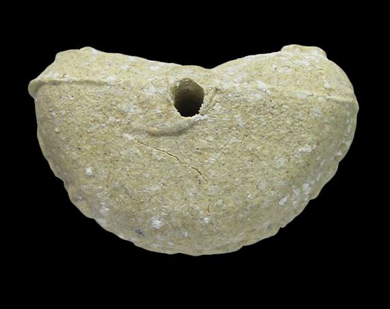 พระปิดตา "รุ่นเงินมา" หลวงปู่หมุน ฐิตสีโล อายุ 105 ปี วัดบ้านจาน จ.ศรีษะเกษ