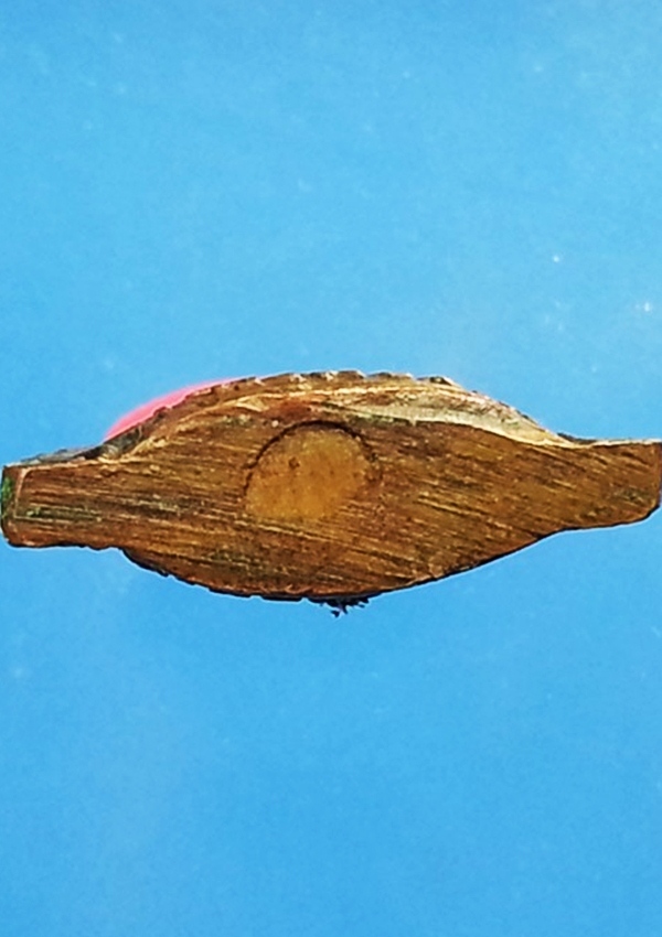 เหรียญกริ่งปั๊มหลวงพ่อมโน หลังหลวงพ่อจาด วัดบางหอย จ.ปราจีนบุรี