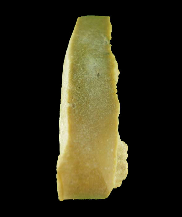 พระผงรูปเหมือนใบโพธิ์ พิมพ์เล็ก หลวงปู่โต๊ะ สร้างปี 2523 เนื้อเกสรหลังยันต์นะ