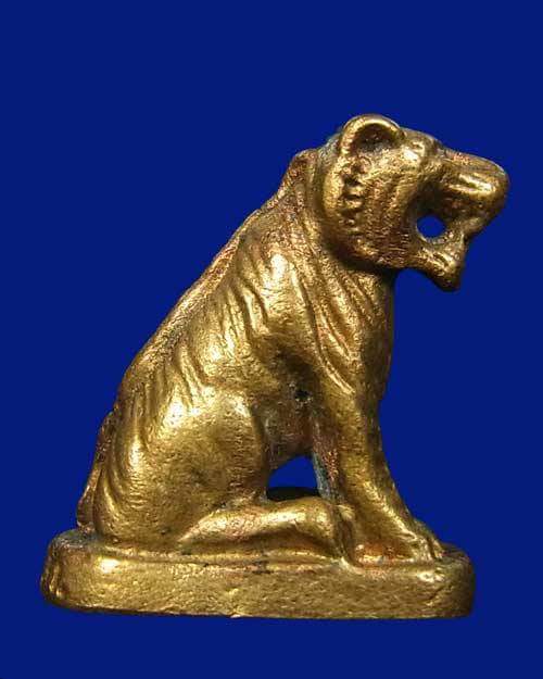 เสือ หลวงพ่ออุ้น วัดตาลกง สวยแชมป์