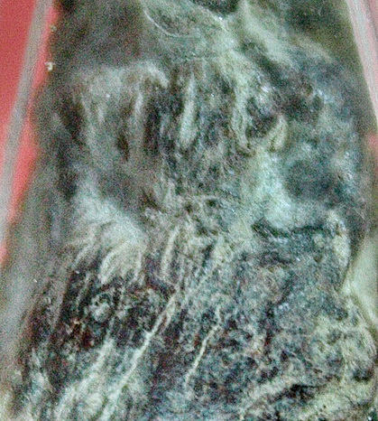 พระว่านจำปาศักดิ์ แตกกรุวัดกลาง อ.เมือง จ.อุบลราชธานี 