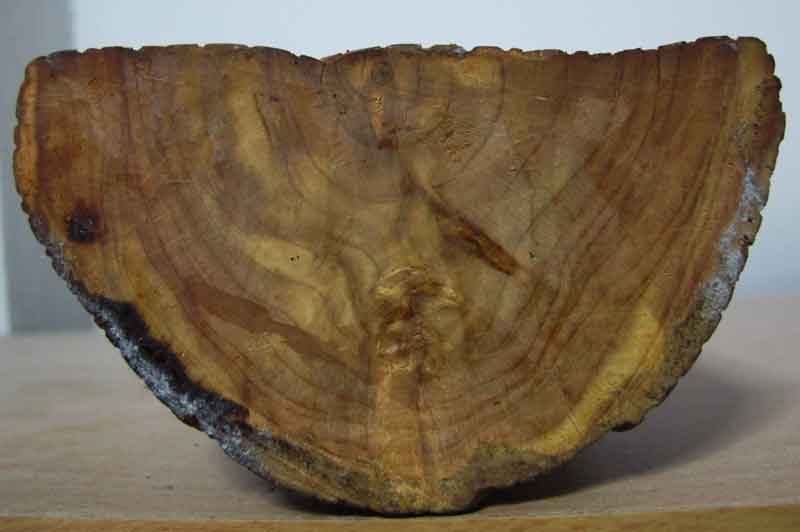 พระบูชาไม้แกะสลัก พิมพ์ พระนาคปรก ศิลป์สวย ขนาด หน้าตัก 4 นิ้ว