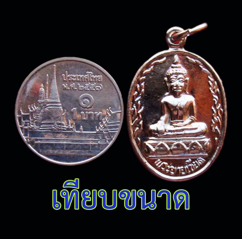เหรียญพระยายเขียด เนื้อทองแดงกะไหล่เงิน วัดยางแดง อ.โคกโพธิ์ จ.ปัตตานี ปี ๒๕๓๖
