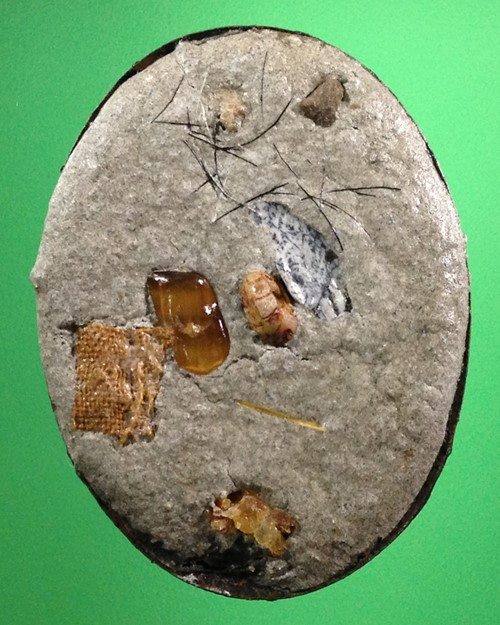 ล็อกเก็ตหลวงปู่ประสิทธิ์ วัดป่าหมู่ใหม่ ปี56 ขนาด2.5*3.5ซม. 