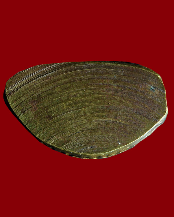 หลวงพ่อเงิน วัดบางคลาน ออกวัดสมาบาป พิมพ์ฐานสูง   พิธีวัดท้ายน้ำ จังหวัดพิจิตร ปี๒๕๑๕ 