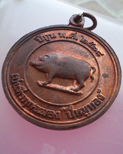 เหรียญหมู 2 หน้า หลวงพ่อสาคร วัดหนองกรับ ปี 2538 ทองแดงสวยๆครับ