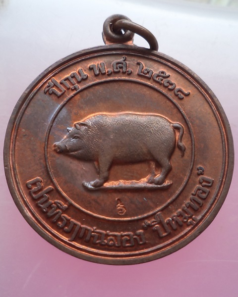 เหรียญหมู 2 หน้า หลวงพ่อสาคร วัดหนองกรับ ปี 2538 ทองแดงสวยๆครับ