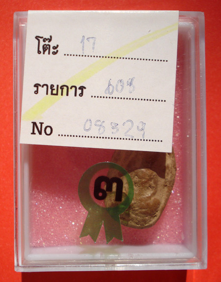 พระเม็ดน้อยหน่า เนื้อดิน สุโขทัย 