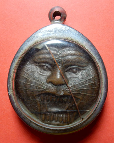 เหรียญหน้าเสือหลวงพ่อเปิ่น วัดบางพระปี 49