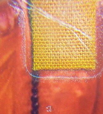 รุป ลป.หมุน ขนาด 1.5 x 2 นิ้ว ทีเดียวยกชุด 10 ใบ