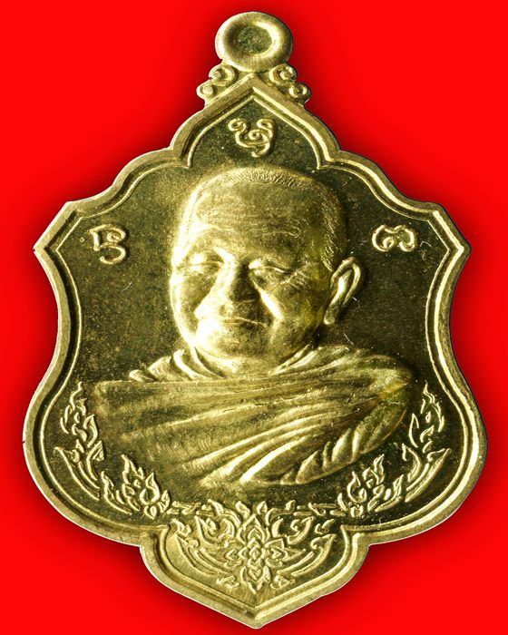 เหรียญ "หลวงปู่บุญหนา" วัดป่าโสตถิผล จ.สกลนคร ปี 2554(เคาะเดียว)