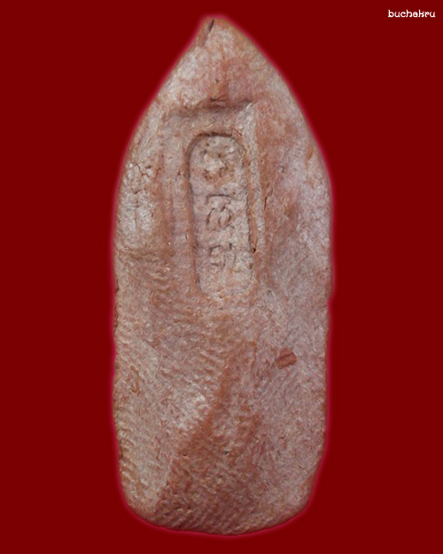 พระปฐวีธาตุ พิมพ์พระนาคปรก รุ่น แซยิด 80 ปี พ.ศ.2541 หลวงปู่หงษ์ พรหมปัญโญ 