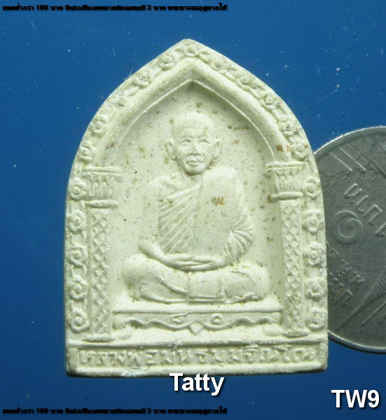 พระผงหลวงปู่ม่น วัดเนินตามาก รุ่นเมตตา เสาร์5 ปี 2534(ทันหลวงปู่แน่นอน)